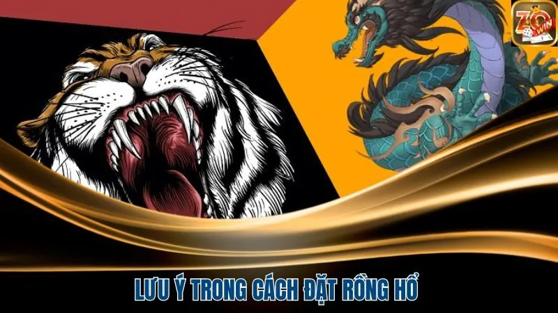 Những điều cần lưu ý trong cách đặt rồng hổ nhanh chóng